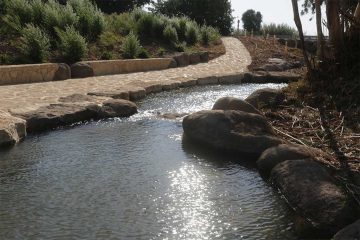 חורשת גדעון