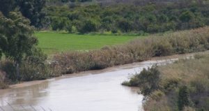 בין הגשרים