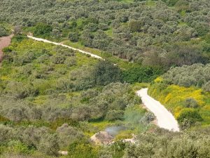 בארות עין מאהל