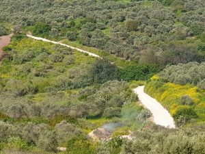 בארות עין מאהל