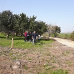 תלמידי הרב תחומי נוטעים בעמק חרוד