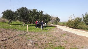 תלמידי הרב תחומי נוטעים בעמק חרוד