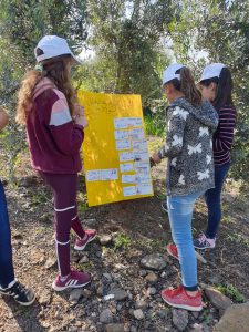 שומרי הנחל טייבה