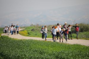 טו בשבט עמק המעיינות