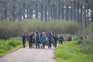 טו בשבט עמק המעיינות