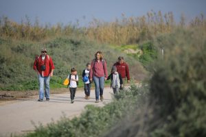 טו בשבט עמק המעיינות