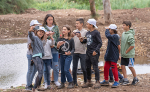 פעילות הסברה