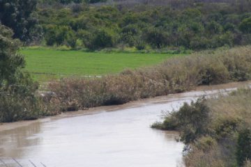 פארק בין הגשרים