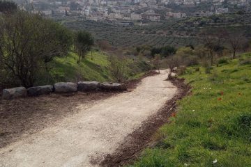 שביל חדש ומרהיב מחבר בין כפר תבור לנחל השבעה