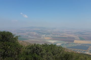 רפורמת המדגים