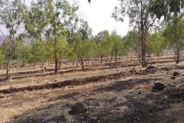 מונעים הצפות בגלבוע: מניעת סחף והצפות בשטחים ובדרכי ניקוז