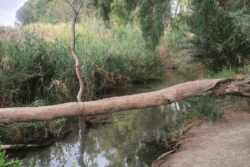 בואו ליהנות מטיול בשביל הרטוב שטרם הכרתם!