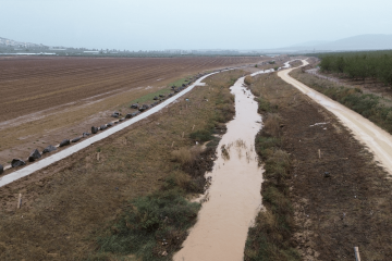 הרחבת שיתופי פעולה לשיקום נחל תבור – ואדי אל בירה- وادي البيرة