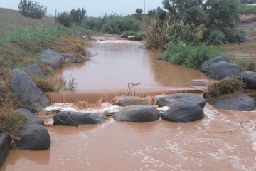 תצפיות מומלצות על זרימות הגשמים – הנחלים זרמו כסדרם, לא נרשמו אירועים חריגים